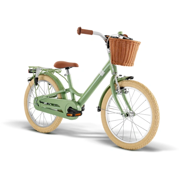 Bicycle 18