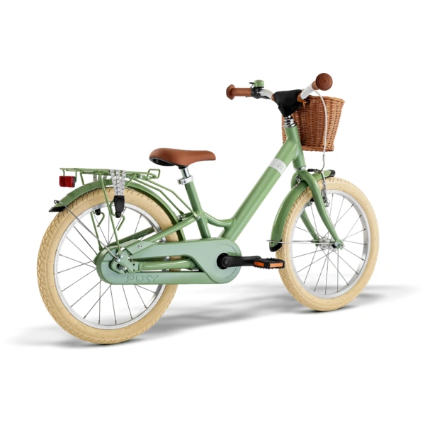 Bicycle 18