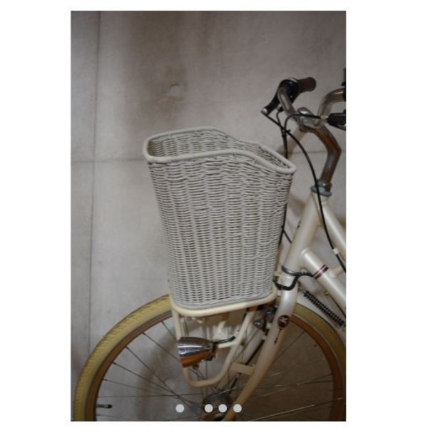 Front carrier bag Pegasus Tourina cream braided