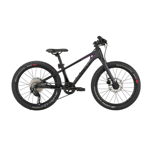 Bicycle 20