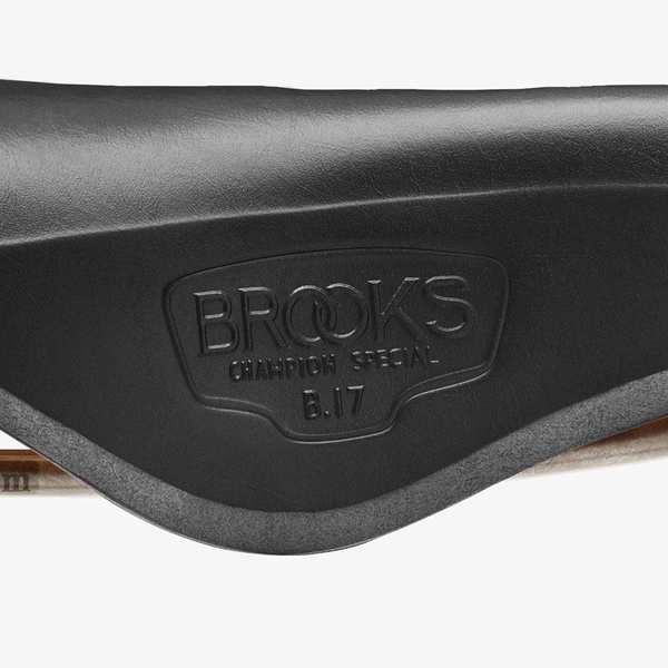 Bicycle saddle Brooks B17 Special Titanium Black