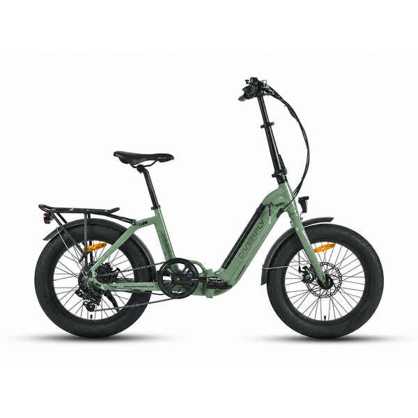Dviratis 20  elektrinis sulankstomas Overfly Doris 250 W green