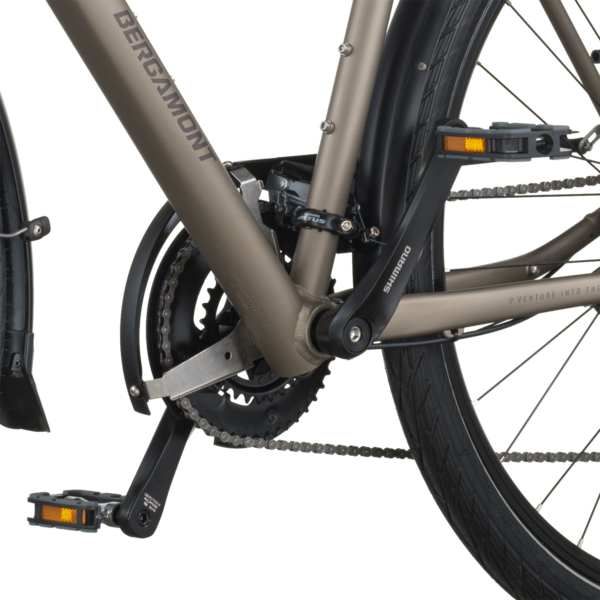 Dviratis 28  BERGAMONT VITESS 50 AMSTERDAM silver bergamont