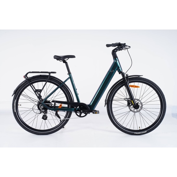 Electric bicycle 28  Luna Neo Chain green