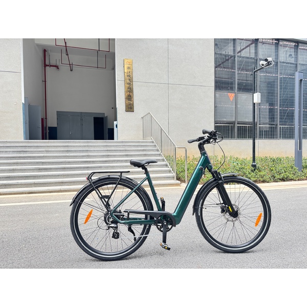 Electric bicycle 28  Luna Neo Chain green