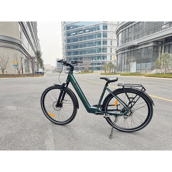 Electric bicycle 28  Luna Neo Chain green