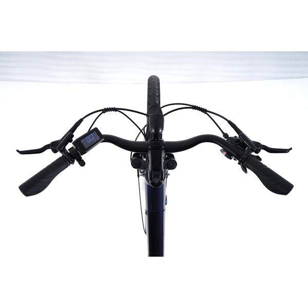 Electric bicycle 28  Luna Neo Chain green