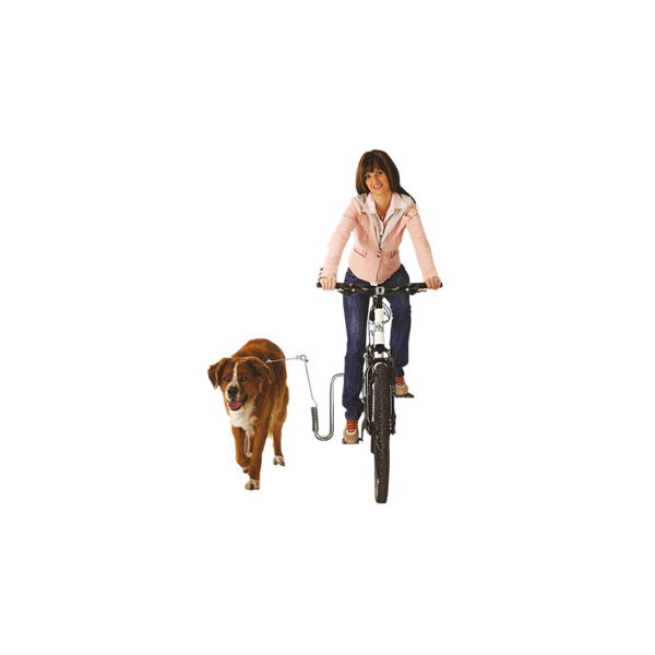 Dog Runner Dog Leash Bike Leash