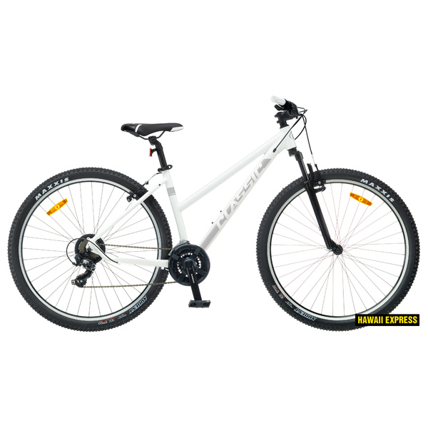 Dviratis 29  CLASSIC TEAM LADY 29 29  white classic