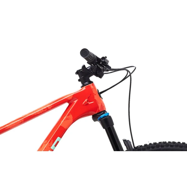 Bicycle 29  Polygon Syncline C5  Red/Black