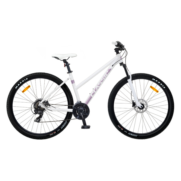 Dviratis 29  CLASSIC PRO LADY 21s
