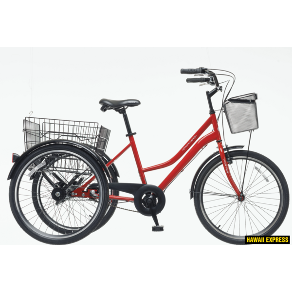 Dviratis 24   TRIKE PORTER 24  red bisan s