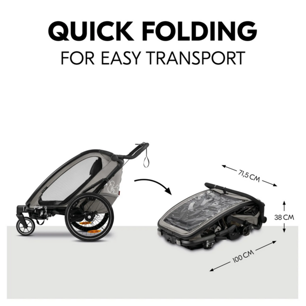 Hauck N Walk Duo child bike trailer light grey