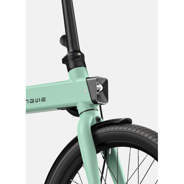 Bicycle 20  electric Engwe P20 green