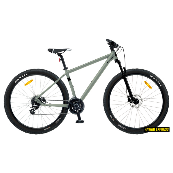 Dviratis 29  CLASSIC PRO 29+ 29  grey classic