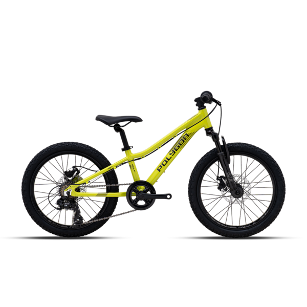Bicycle 20  POLYGON RELIC green