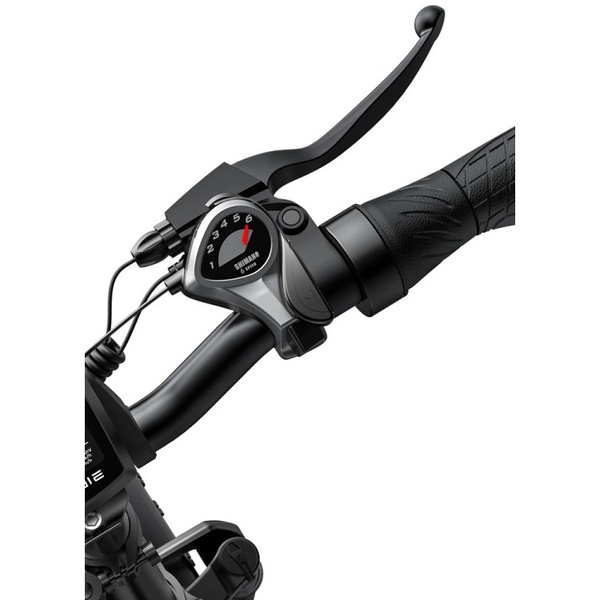 Bicycle 20  electric Engwe EP-2 PRO grey