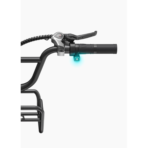 Bicycle 20  electric Engwe L20 Boost green