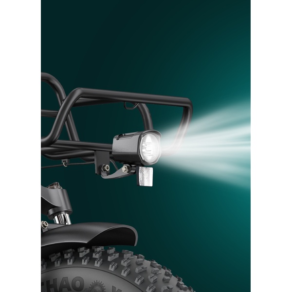 Bicycle 20  electric Engwe L20 Boost green