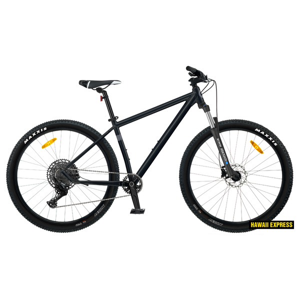Dviratis 29  CLASSIC X12 12s 29  classic