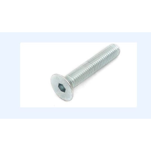 Bolt for bicycle leg