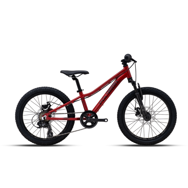 Bicycle 20  POLYGON RELIC red