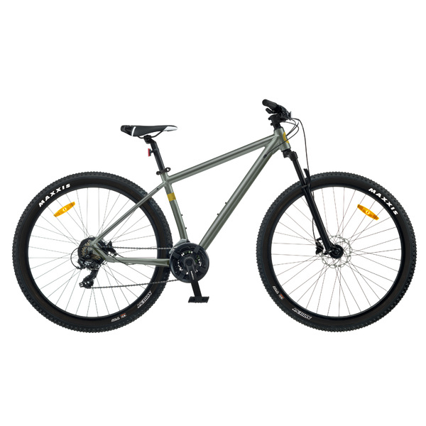 Dviratis 29  CLASSIC PRO 29 29  green classic