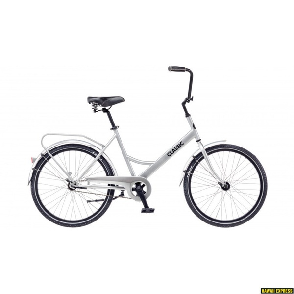 Bicycle 24 CLASSIC FUNK 24 1s 24 silver classic