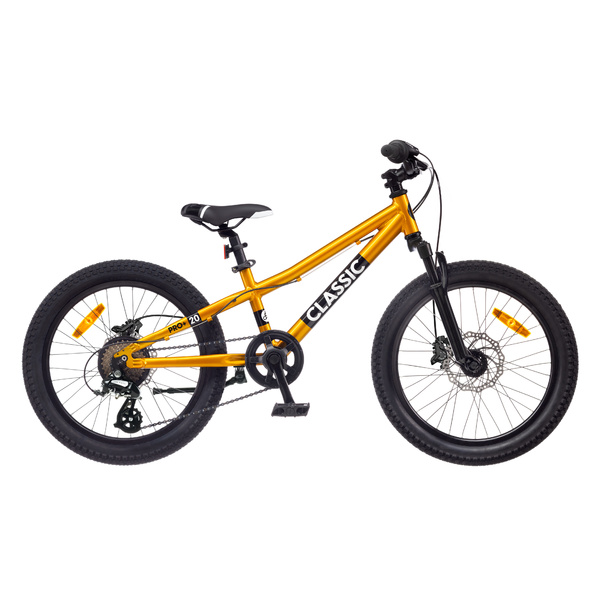 Dviratis 20  CLASSIC PRO 20+ golden classic