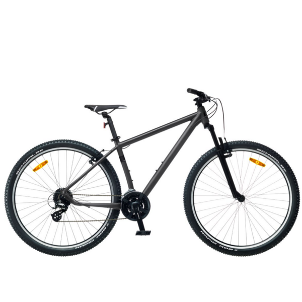 Dviratis 29  CLASSIC TEAM 29+24s 29  classic
