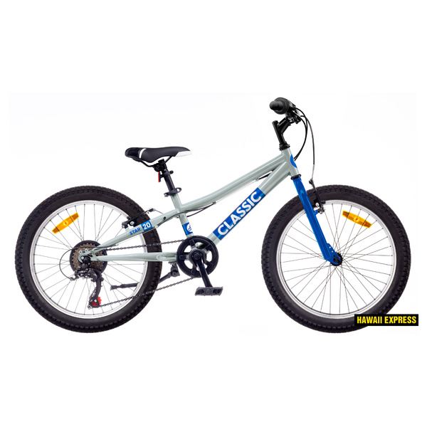 Dviratis 20  Classic STAR 20 BOY silver